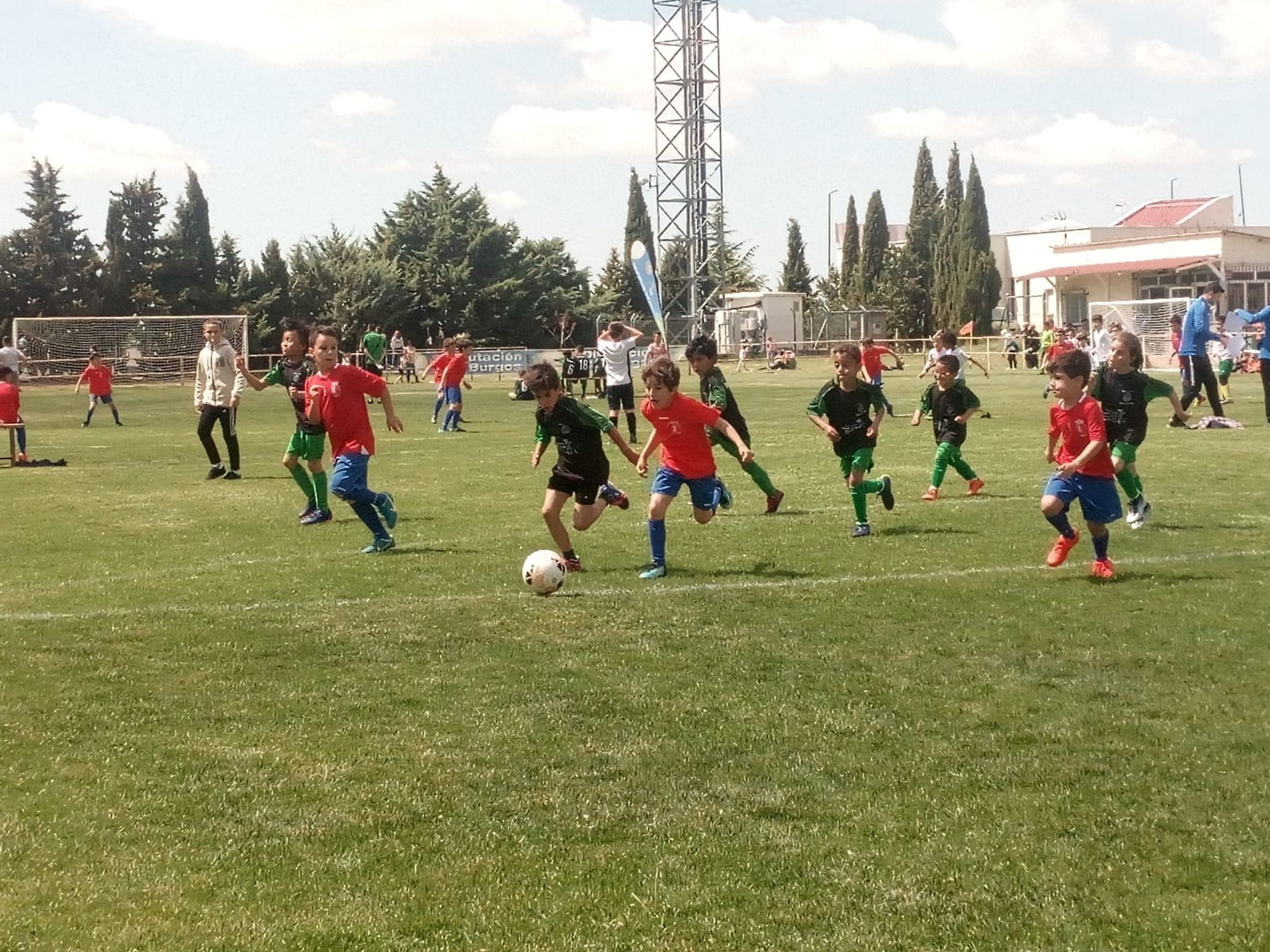 Partido Benjamín