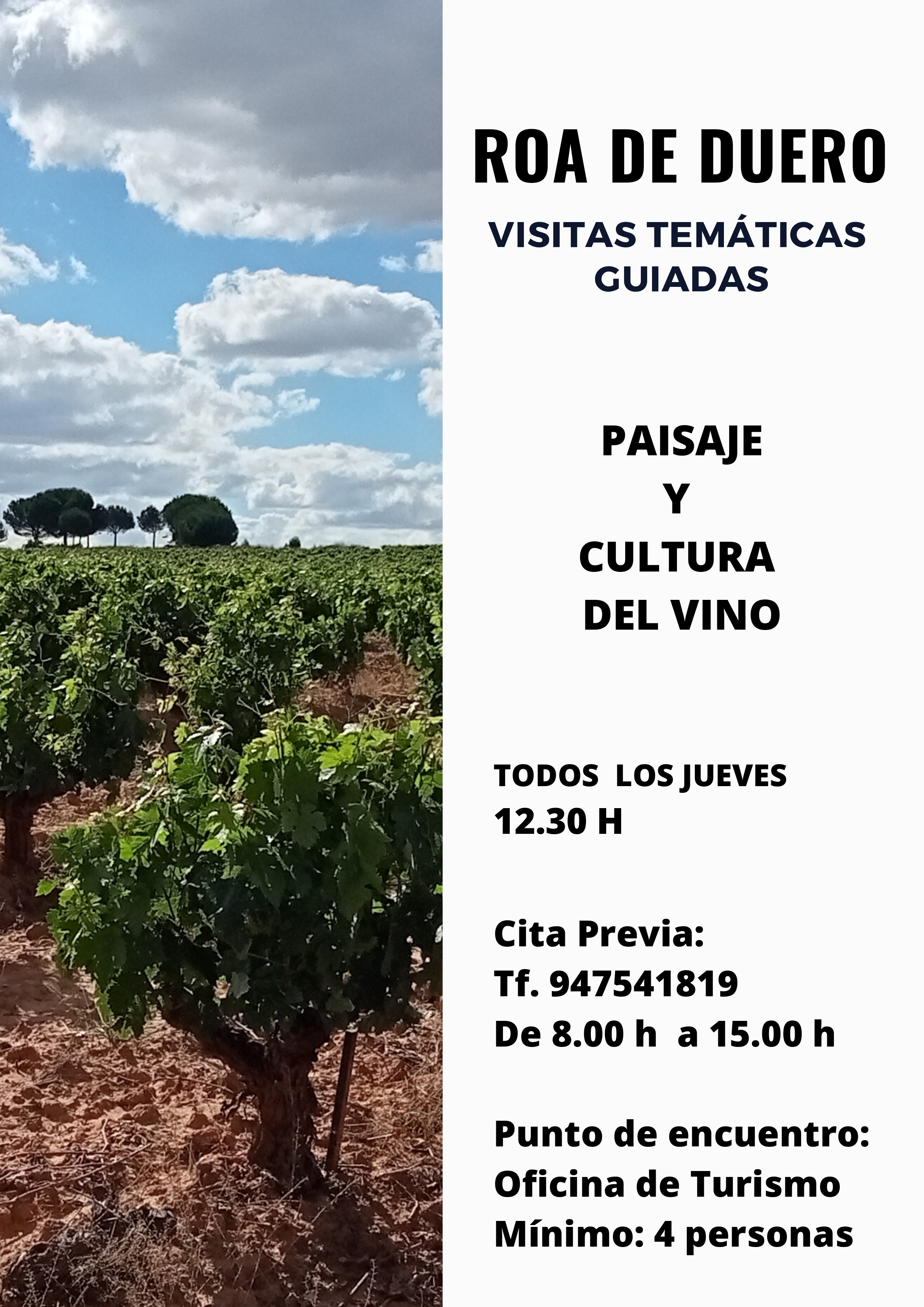 paisaje