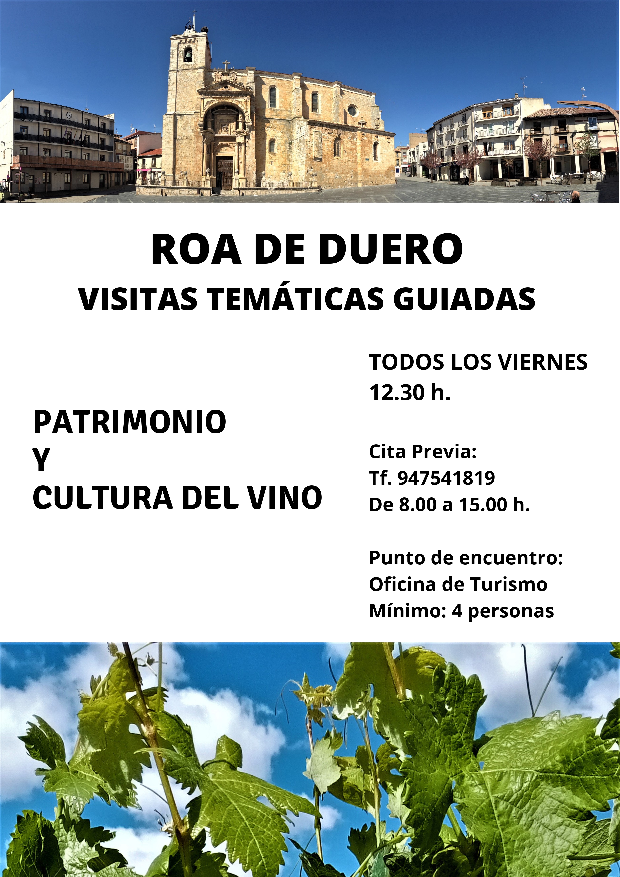 patrimonio y cultura vino