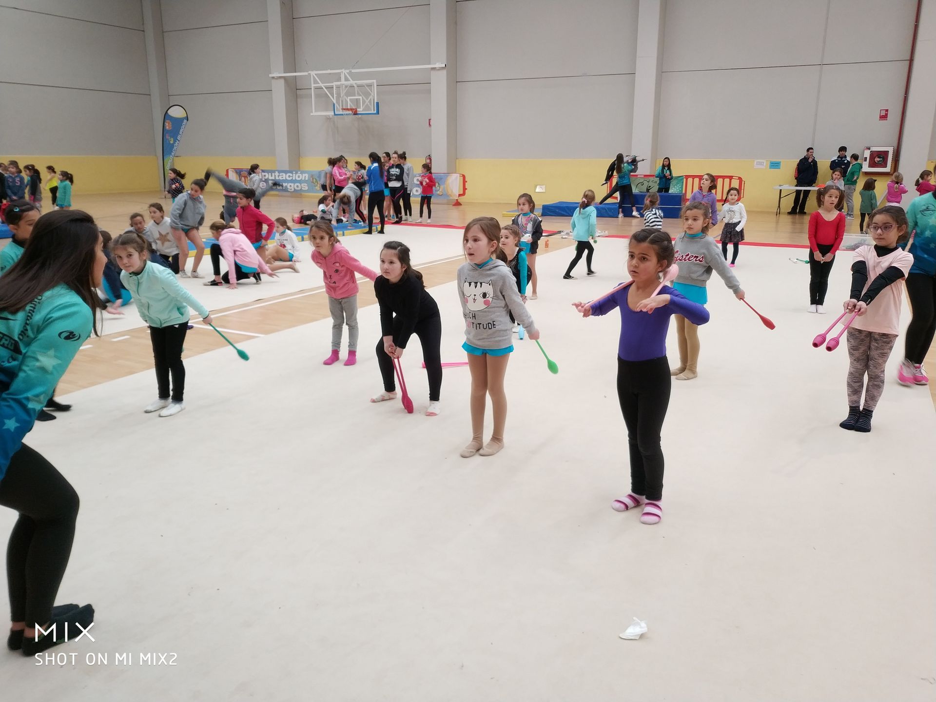 JORNADA PROMOCIÓN PROVINCIAL ESCOLAR GIMNASIA