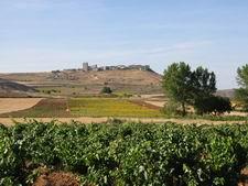 Grandes rutas - Ruta de la Ribera del Duero (Ruta del Vino)