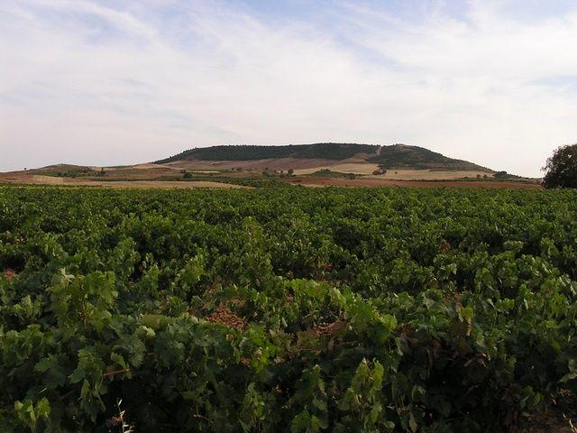 La Cuesta Manvirgo