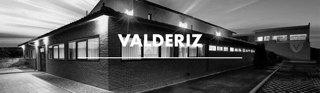 Bodegas y Viñedos Valderiz